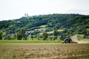 Sojafeld bei Maria Taferl (NÖ) Hackvorgang