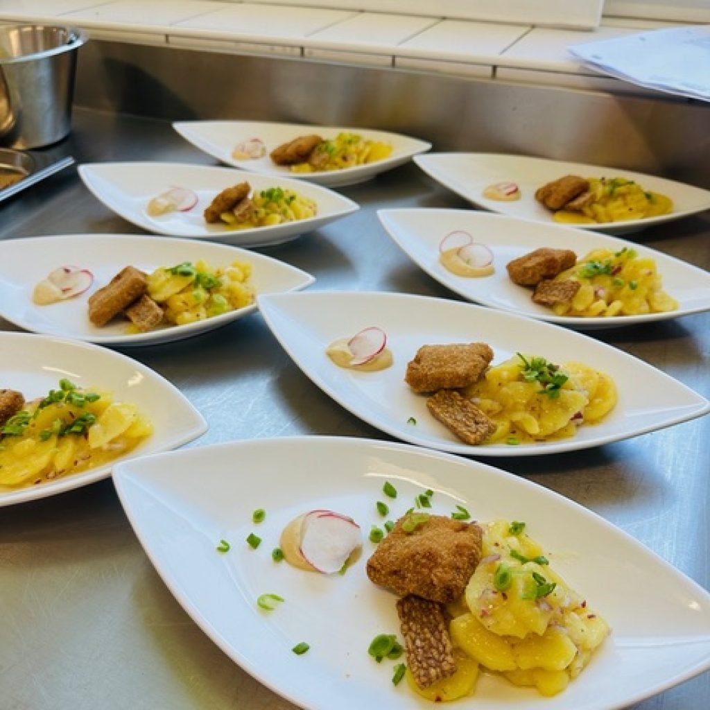 ws-weyer-tofuschnitzel WS Weyer Tofuschnitzel
